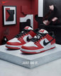 TENIS DUNK