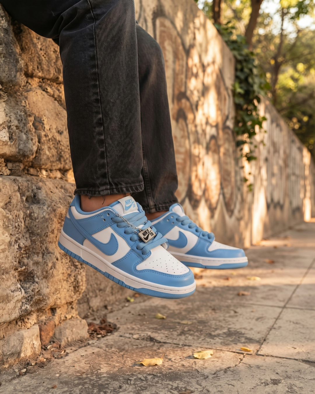 TENIS DUNK